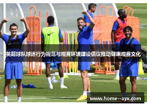 英超球队球迷行为规范与观赛环境建设倡议推动健康观赛文化